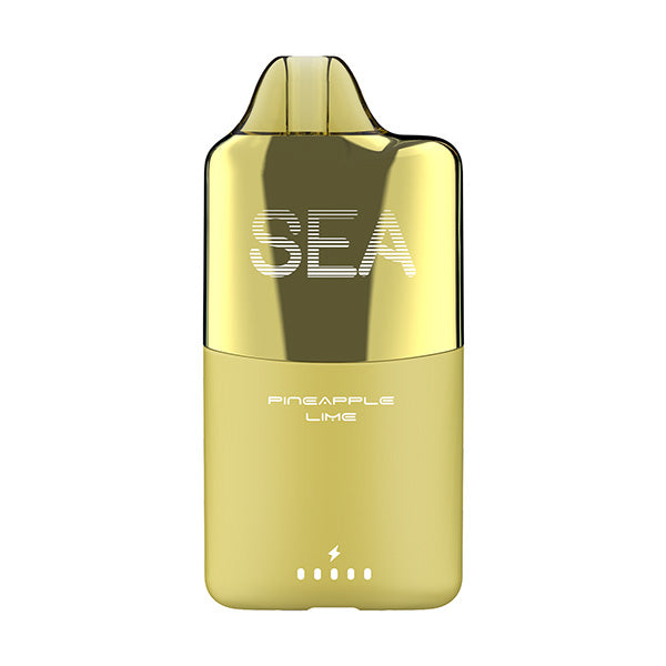 Pineapple Lime SEA 15K Disposable Vape – EBDESIGN Store