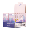EBCREATE BC5000 Blueberry Pom Ice Disposable Vape 10 pack