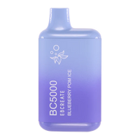 EBCREATE BC5000 Blueberry Pom Ice Disposable Vape
