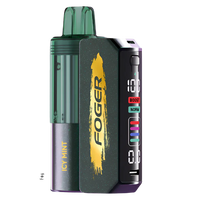 FOGER Switch Pro Kit 30K Vape Icy Mint