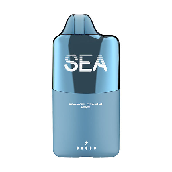 Blue Razz Ice SEA 15K Disposable Vape – EBDESIGN Store