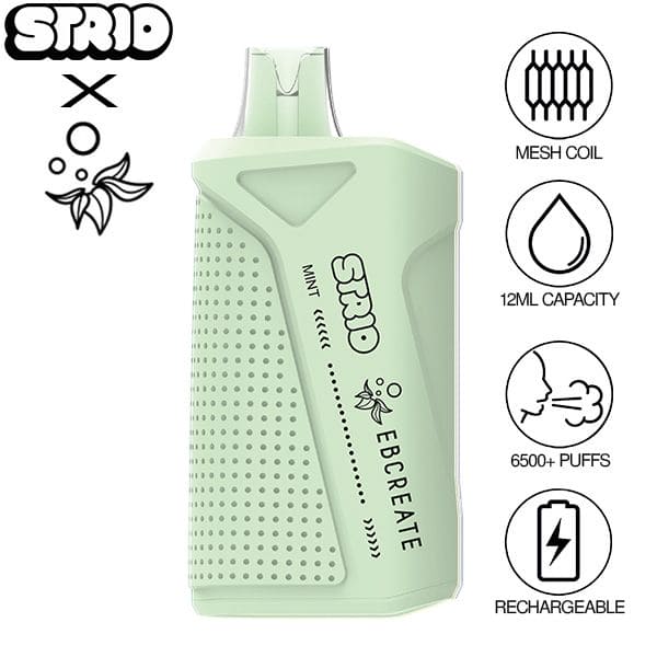Strio x EBCREATE XC6500 Disposable Vape mint