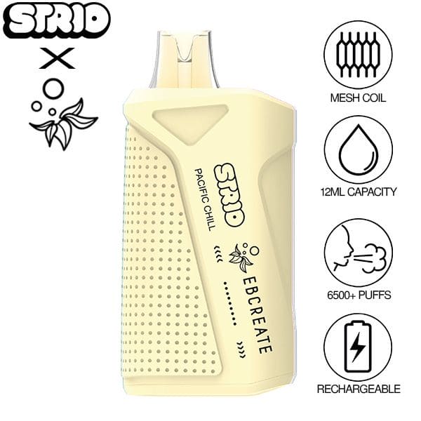 Strio x EBCREATE XC6500 Disposable Vape pacific chill 
