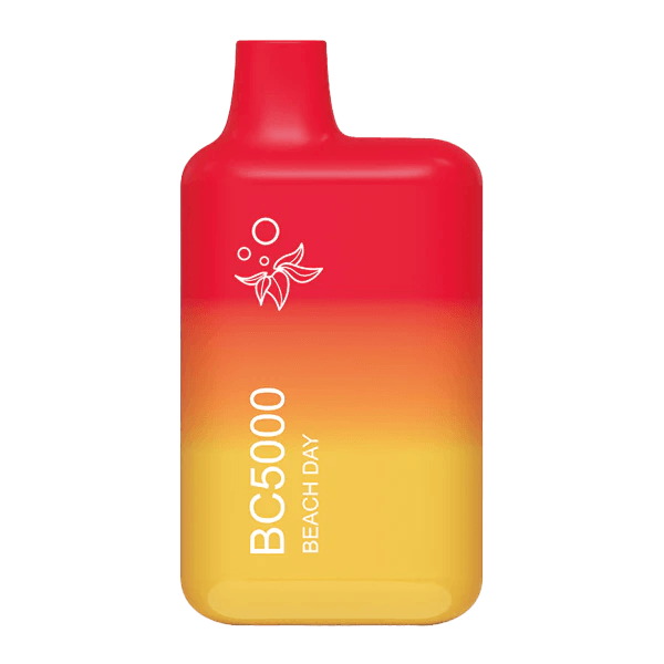 BC5000 Beach Day Disposable Vape | EBDESIGN Store
