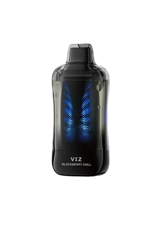 Blackberry Chill Lost Mary VIZ 55K Disposable Vape