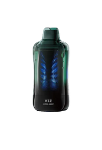 Cool Mint Lost Mary VIZ 55K Disposable Vape