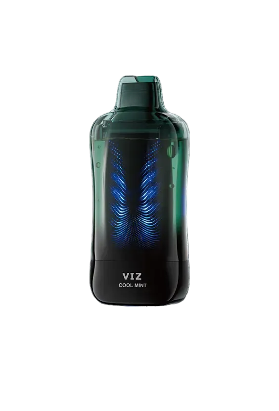 Cool Mint Lost Mary VIZ 55K Disposable Vape